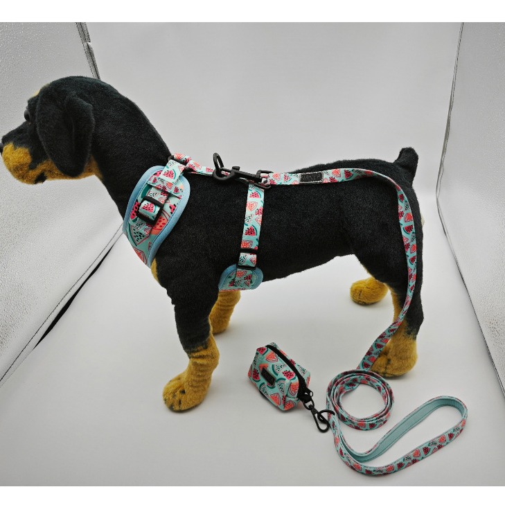 犬 ハーネス スイカリボン ハーネスセット