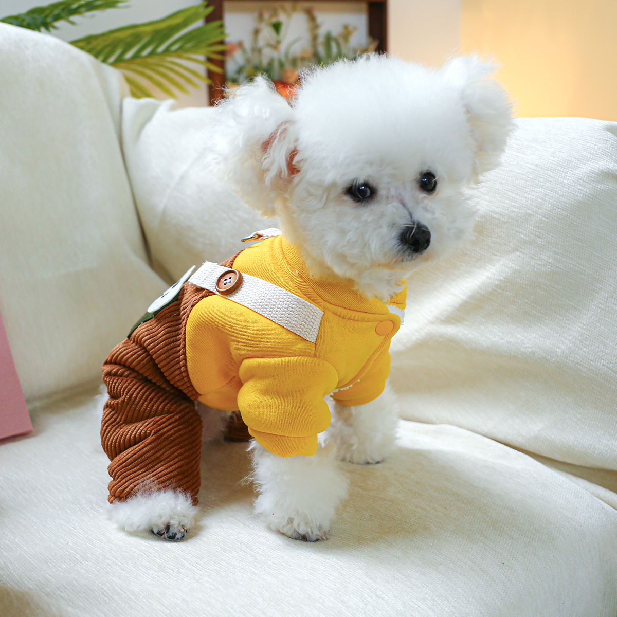 犬 ハーネス 生成エラーです