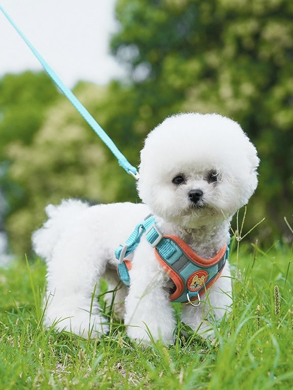 犬 ハーネス ふわもこ子犬のお散歩ハーネス＆リードセット