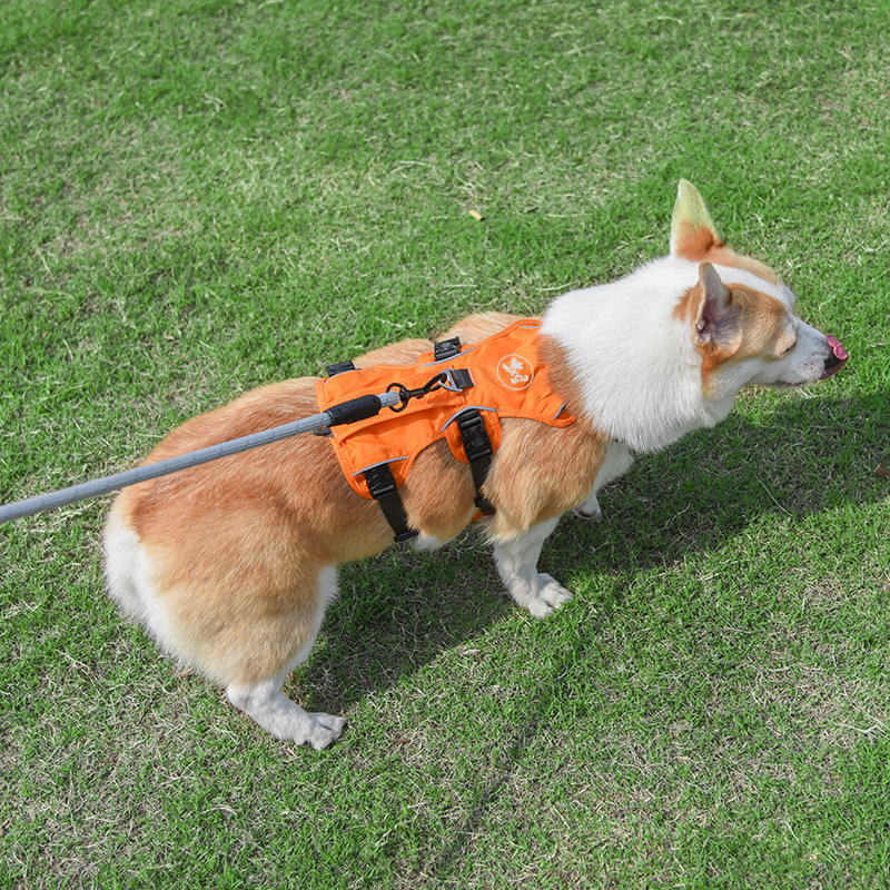 犬 ハーネス あんしん快適ハーネス