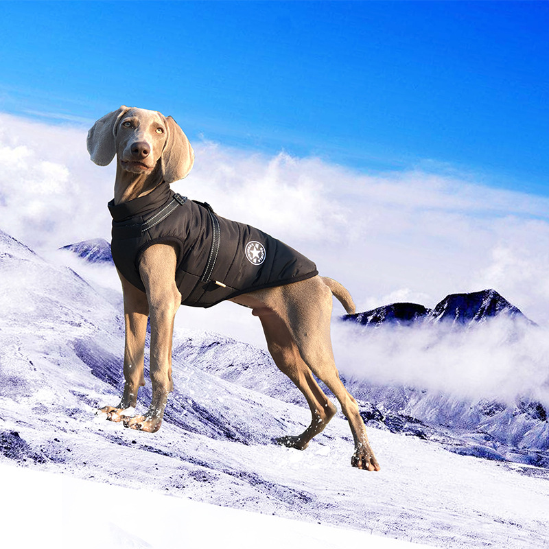 犬 ハーネス 雪山用アウトドアハーネス