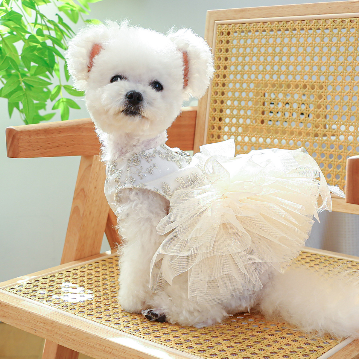 犬 ハーネス 生成エラーです