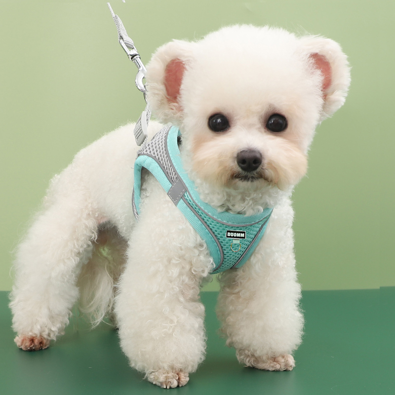 犬 ハーネス メッシュ素材ソフトハーネス