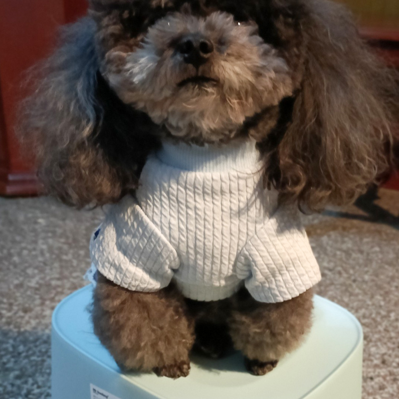 犬 ハーネス 生成エラーです