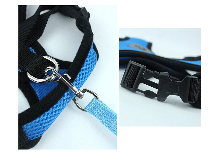 https://fulmo-img-server.com/wonderfulharness/bfde8555-f562-4b19-b653-3231cb46b0b9.jpg