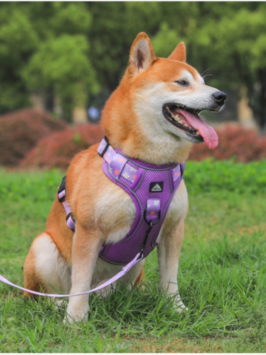 犬 ハーネス 涼風フラワーメッシュハーネス
