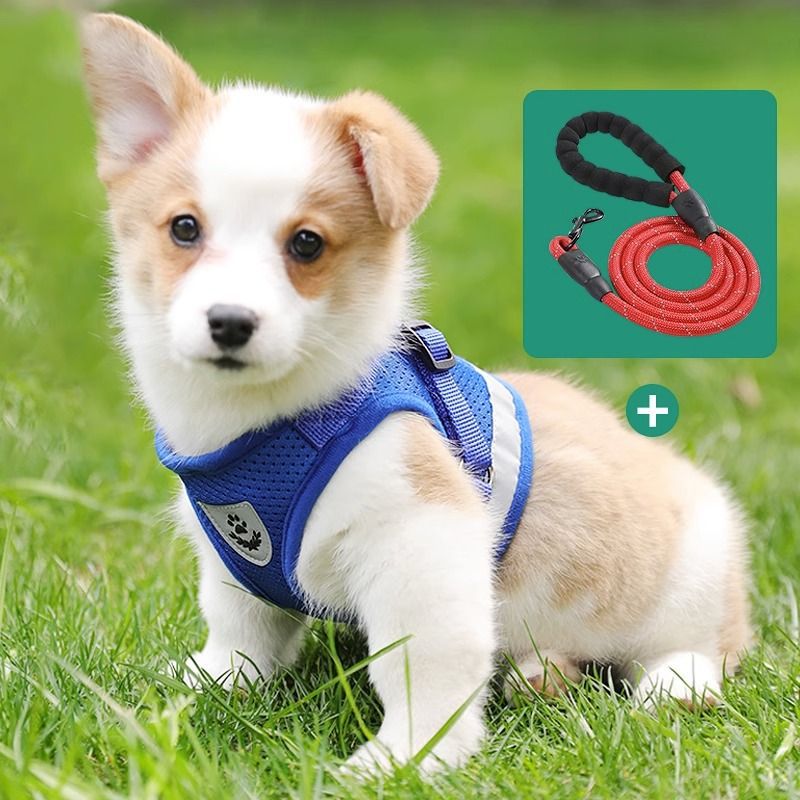 https://fulmo-img-server.com/wonderfulharness/c01b199e-25da-47f9-9e67-43b622711322.jpg
