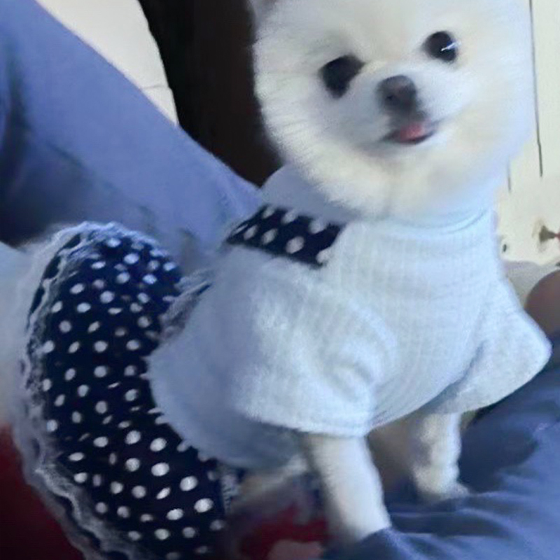 犬 ハーネス 生成エラーです