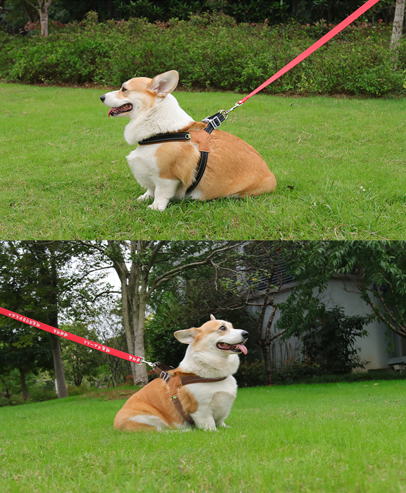 犬 ハーネス 愛犬のための蔓編みハーネスセット