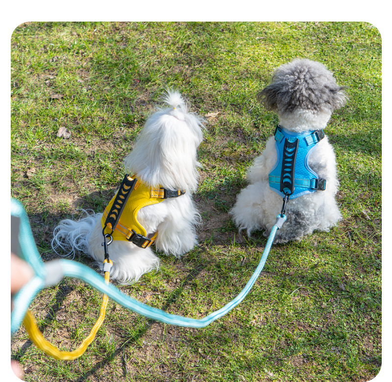 犬 ハーネス やさしい装着感 軽量メッシュハーネス
