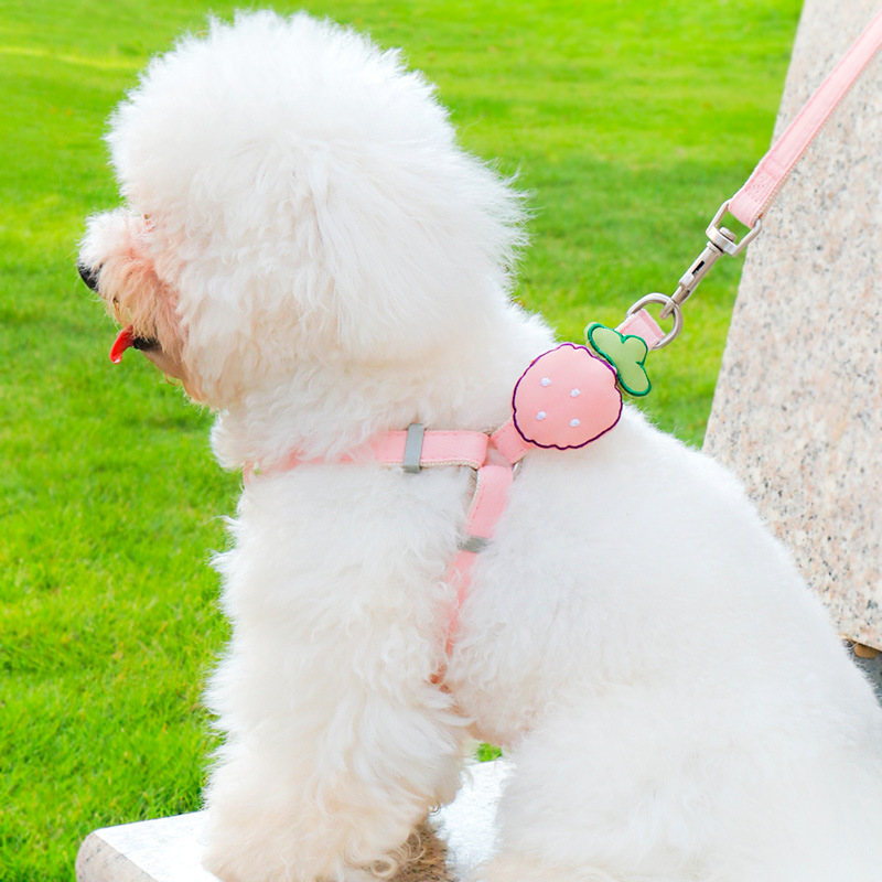犬 ハーネス いちごモチーフ やさしい首輪ハーネスセット