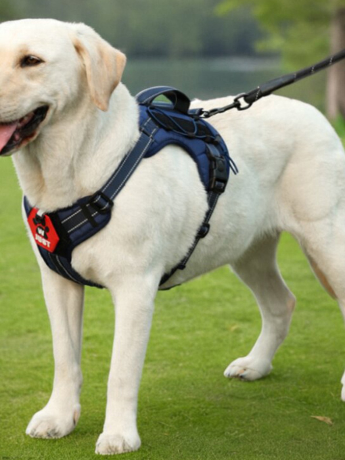 犬 ハーネス お散歩楽々ハーネス やさしい肩当て