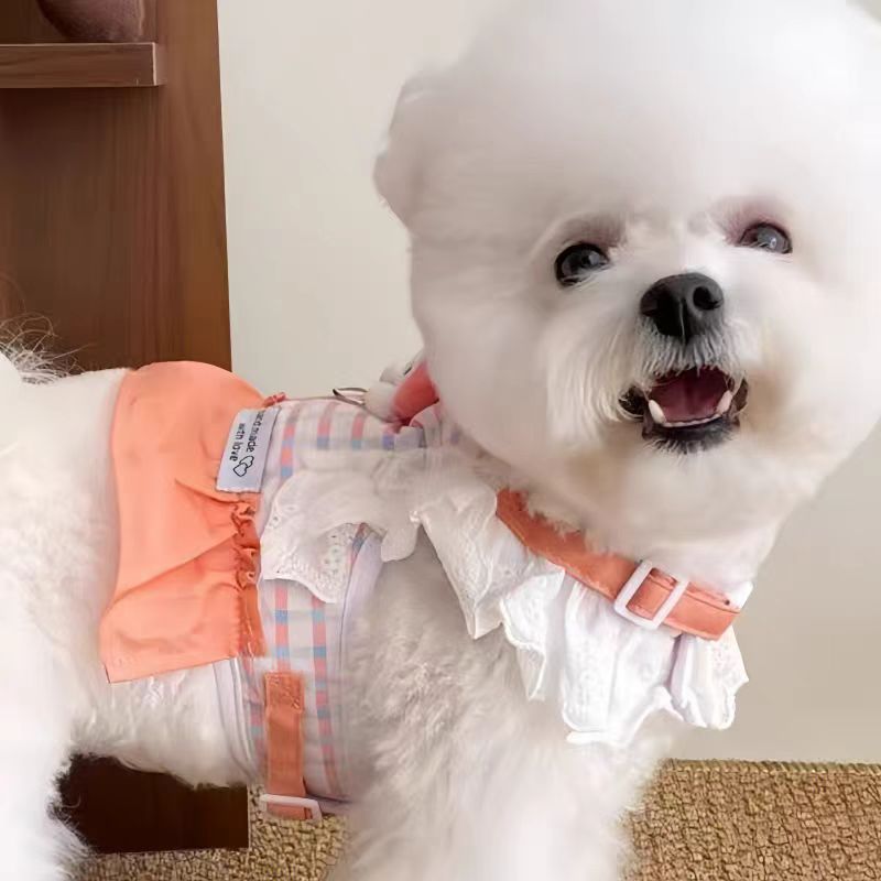 https://fulmo-img-server.com/wonderfulharness/c22040f0-2463-4e11-8e77-319a109c3142.jpg