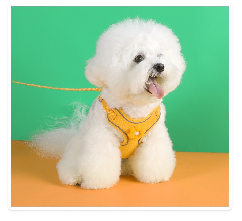 犬 ハーネス やさしい付け心地 ベーシックハーネス