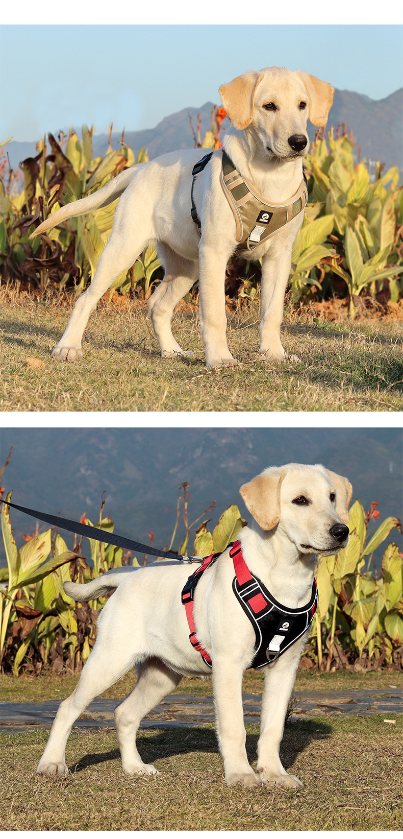 犬 ハーネス アウトドア対応 機能美ハーネス