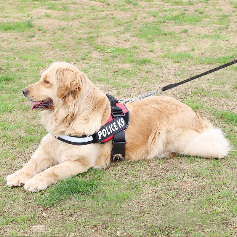 犬 ハーネス 飼い主安心 スプリングハーネス