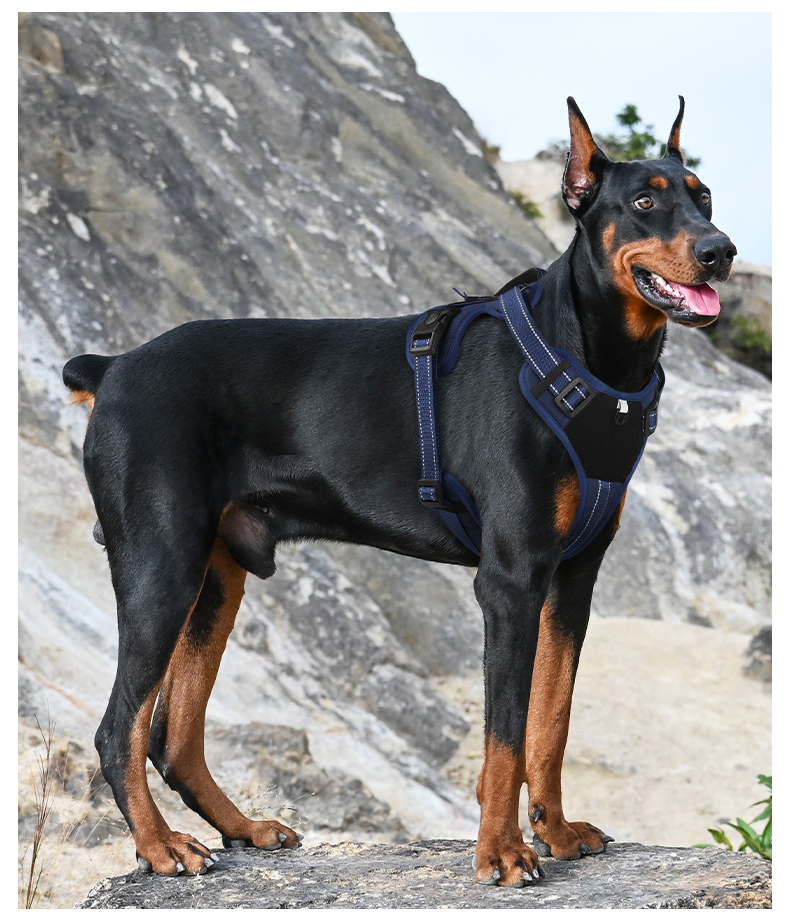 犬 ハーネス 快適さを追求した機能美ハーネス