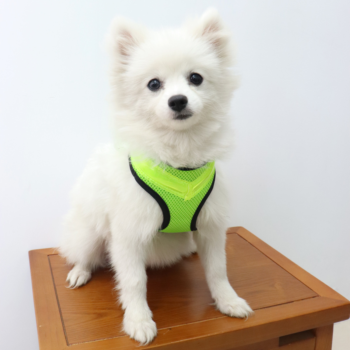 犬 ハーネス 夜道も安心 光るメッシュハーネス