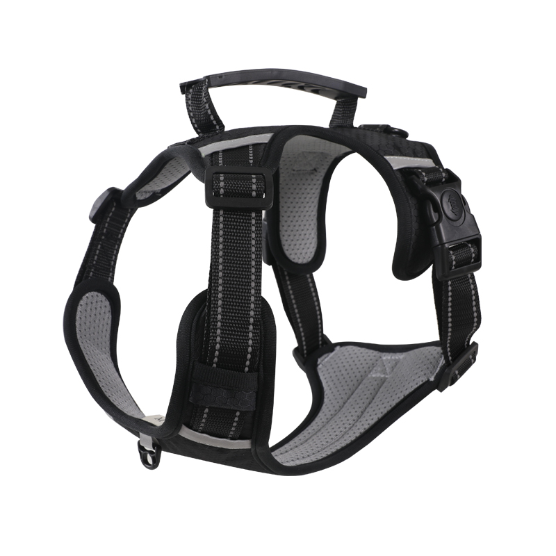 https://fulmo-img-server.com/wonderfulharness/c3dc25d1-0150-4d85-b220-c682f859a15b.jpg