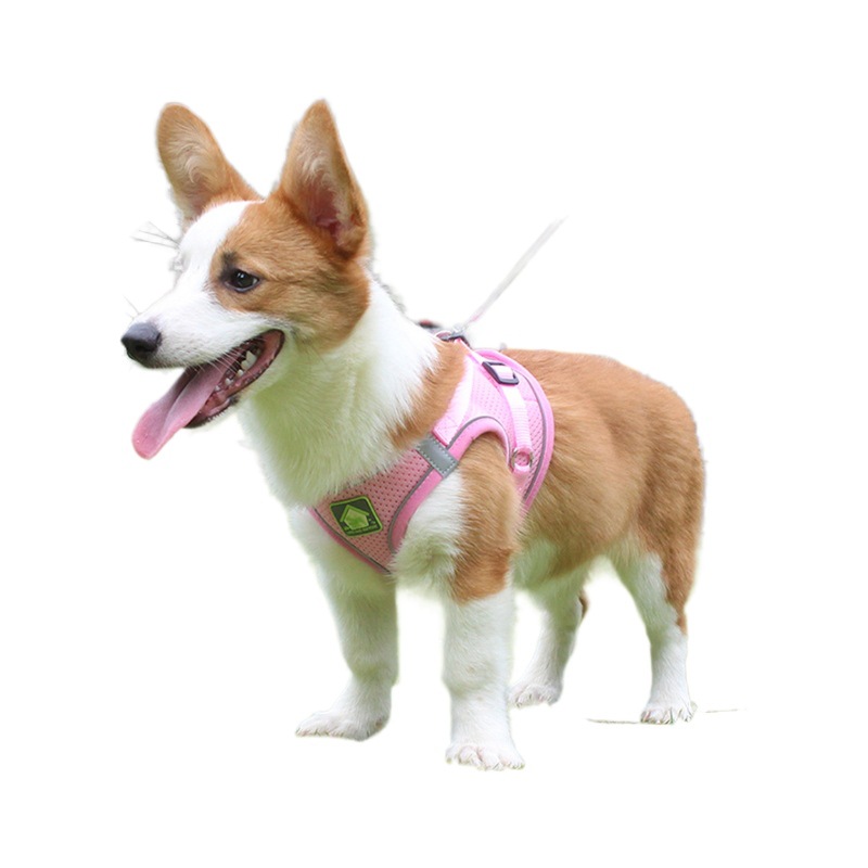 犬 ハーネス やさしさ包む メッシュハーネス