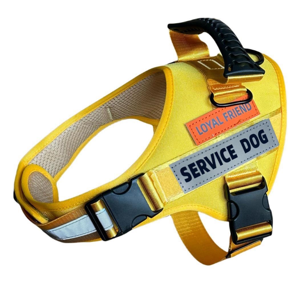 https://fulmo-img-server.com/wonderfulharness/c3f505eb-ce95-4d2b-afd2-3c9cab9e9d9a.jpg