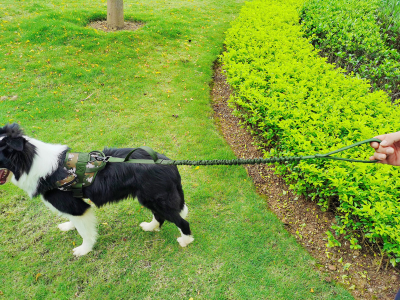 犬 ハーネス サバイバルスタイル 愛犬用ハーネス