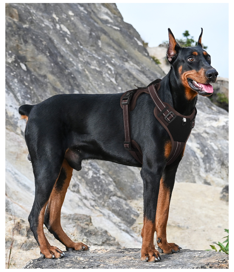 犬 ハーネス 快適さを追求した機能美ハーネス