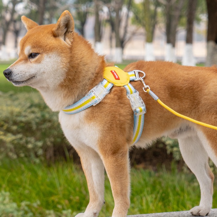 犬 ハーネス プレミアム ストライプハーネス