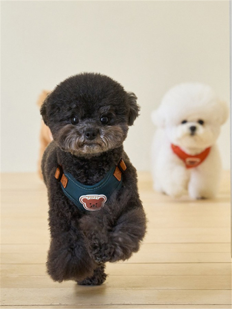 犬 ハーネス くまモチーフ ふわふわハーネス