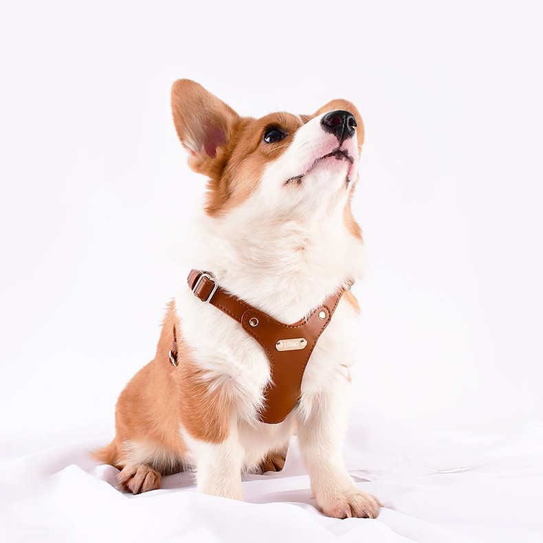 https://fulmo-img-server.com/wonderfulharness/c4e7edab-d936-4f05-9627-d8f4f53268bb.jpg