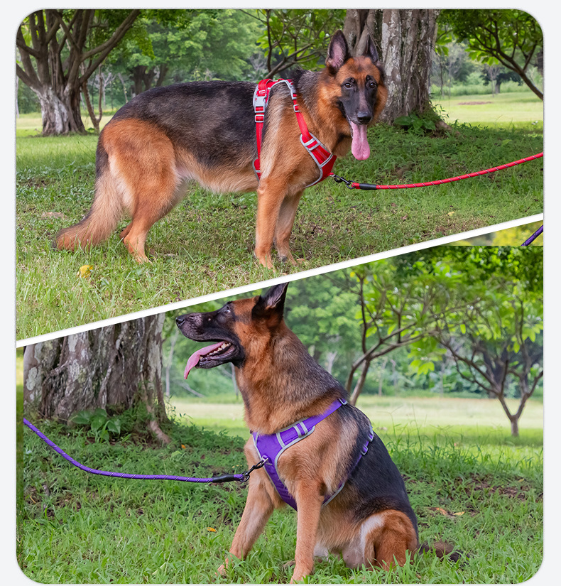 犬 ハーネス やさしさ包む 軽量ハーネス