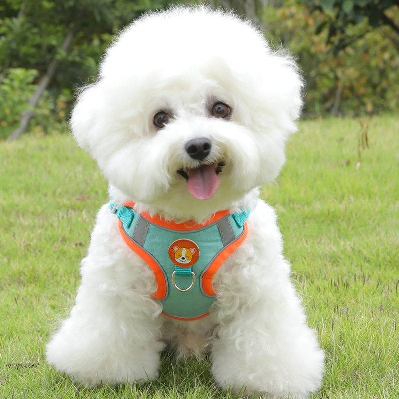 犬 ハーネス やさしい装着ハーネス