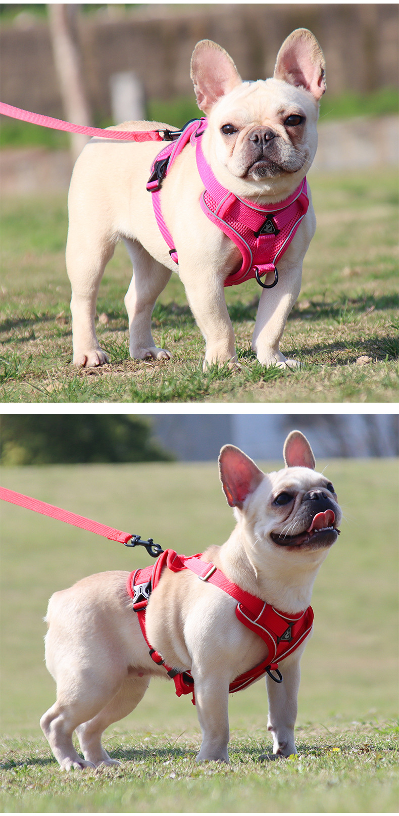 犬 ハーネス やさしいフィット 軽量ハーネス