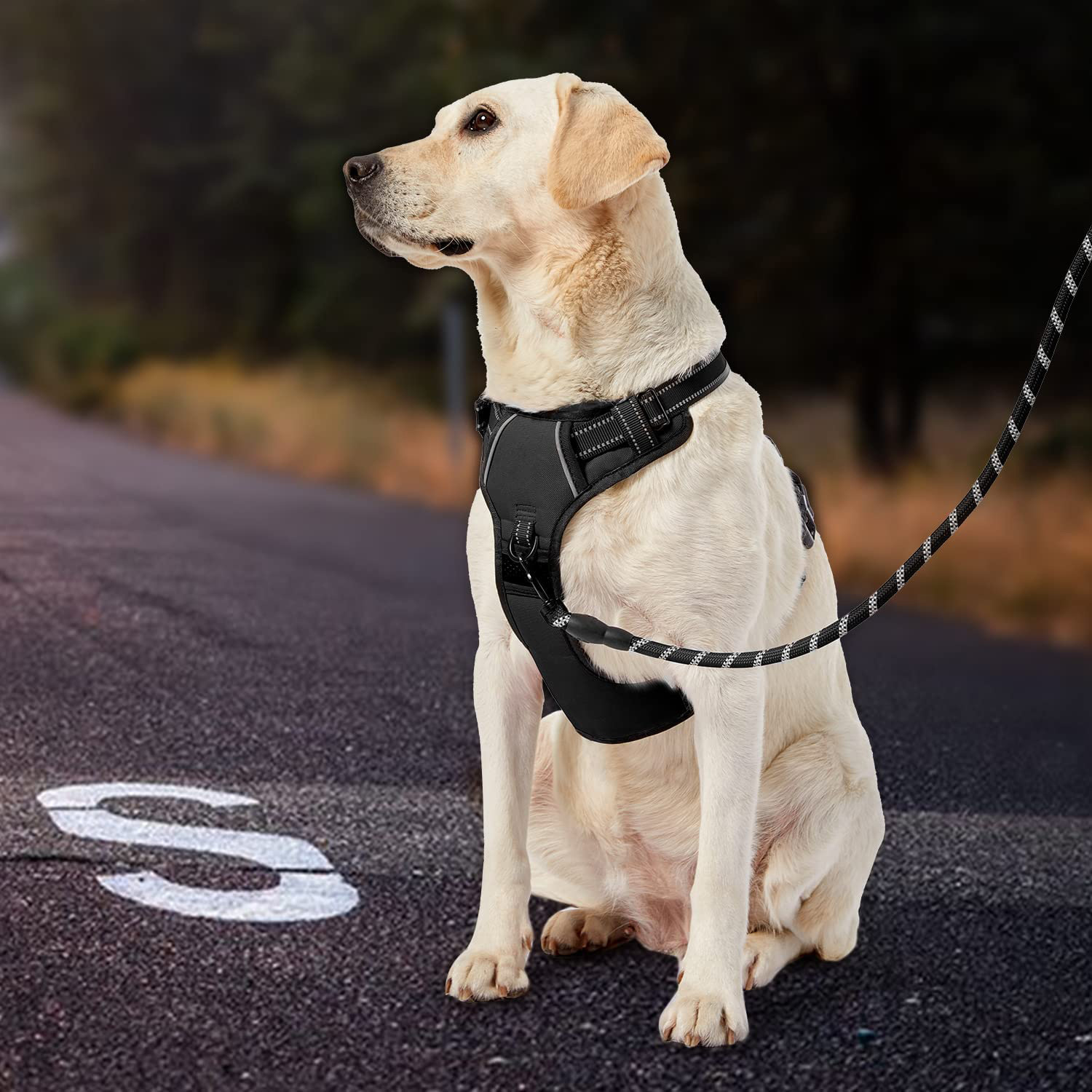 犬 ハーネス やさしい着心地 ゆったりハーネス