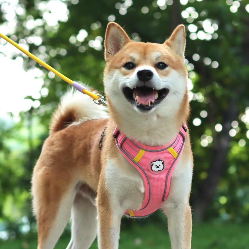 https://fulmo-img-server.com/wonderfulharness/c61e3e50-14c8-4f20-b3fd-bcf59815c3aa.jpg
