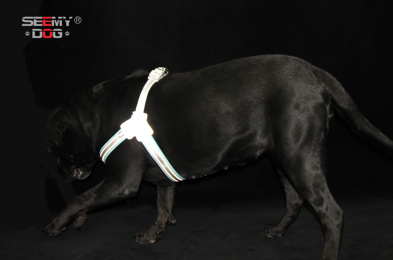 犬 ハーネス なめらか快適 ワンタッチ胴輪
