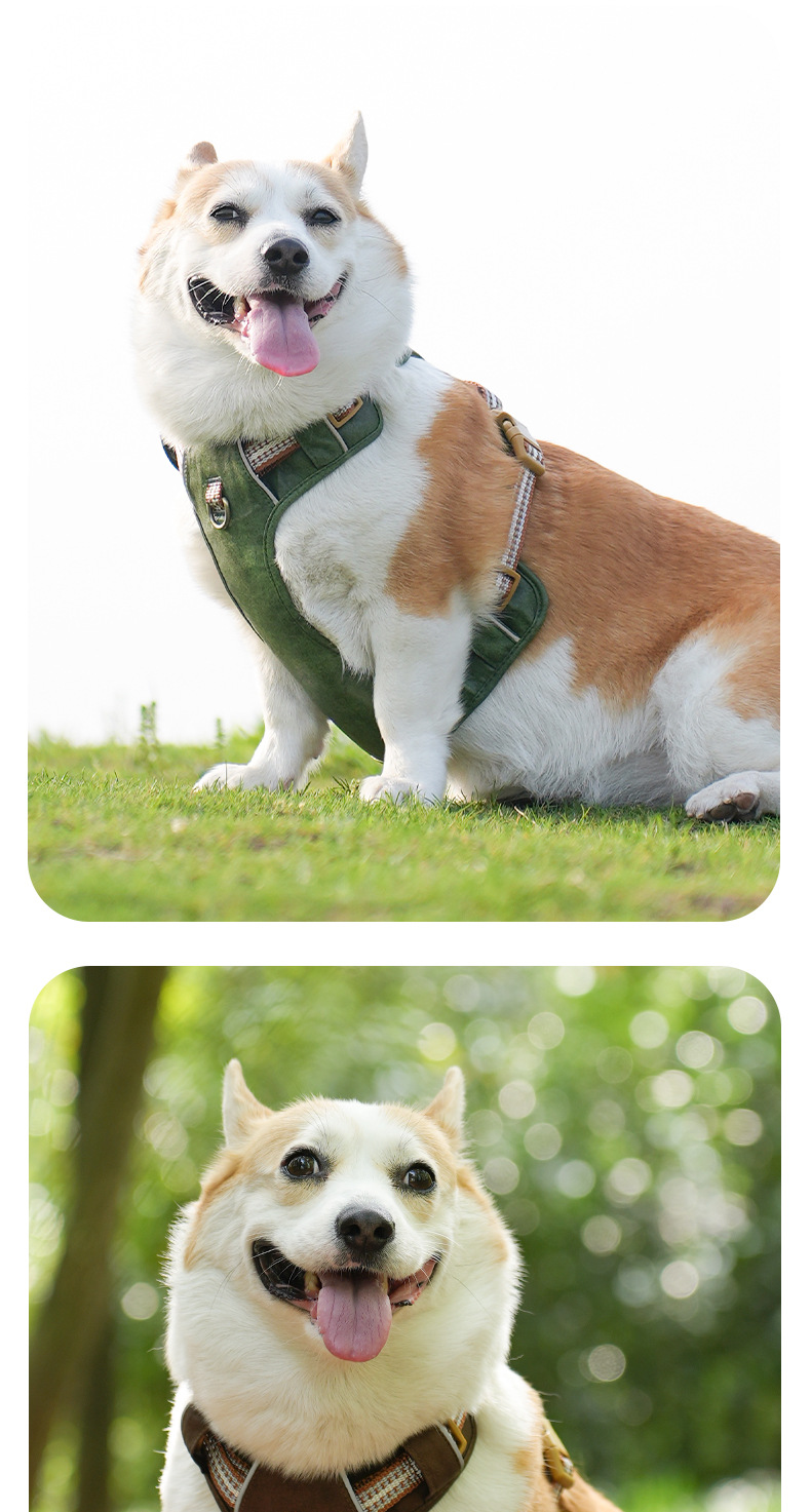 犬 ハーネス メッシュ編み込み ゆったりハーネス