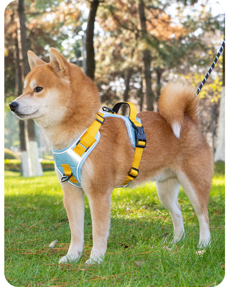 犬 ハーネス やさしさ包む快適ハーネス