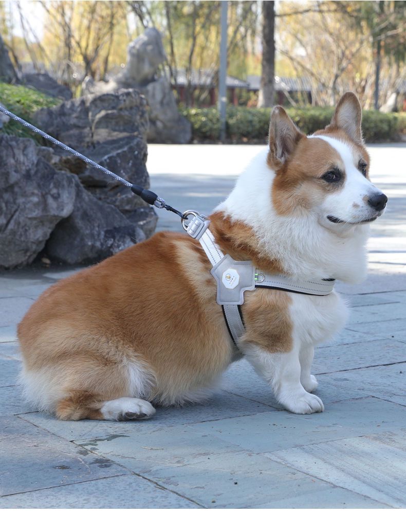 犬 ハーネス やさしい着け心地 散歩ハーネス