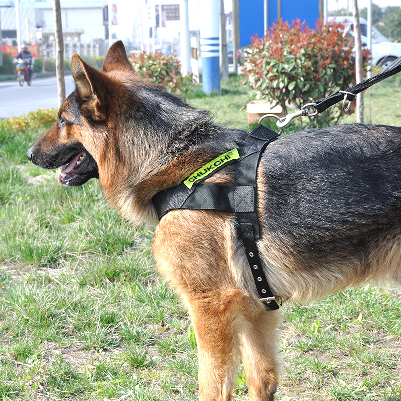 犬 ハーネス アウトドア軽量メッシュハーネス