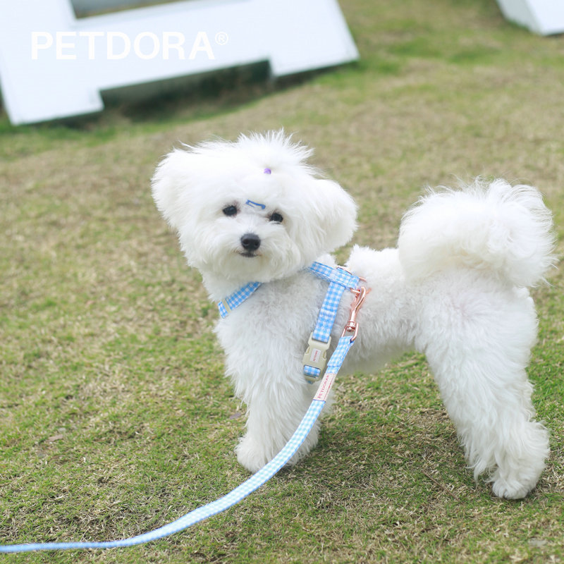 犬 ハーネス シャルロット チェック柄ハーネス