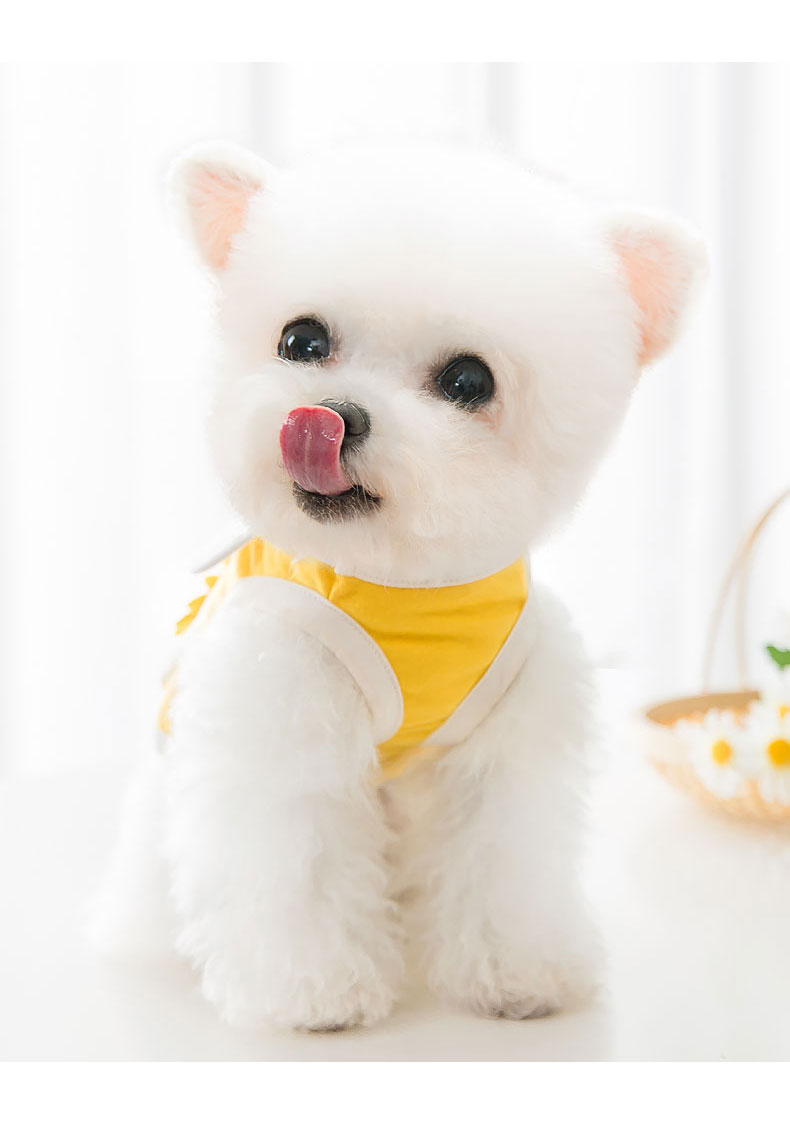 犬 ハーネス ひまわりの花びらハーネス