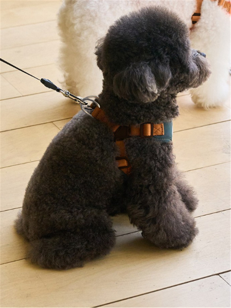 犬 ハーネス くまモチーフ ふわふわハーネス