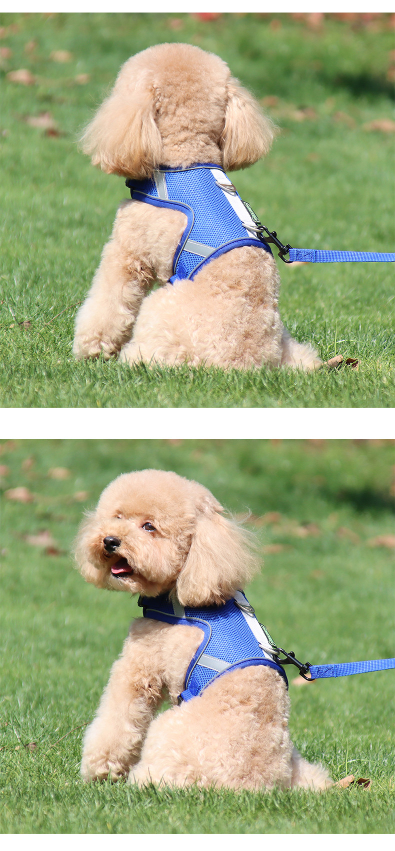 犬 ハーネス ふんわり快適メッシュハーネス