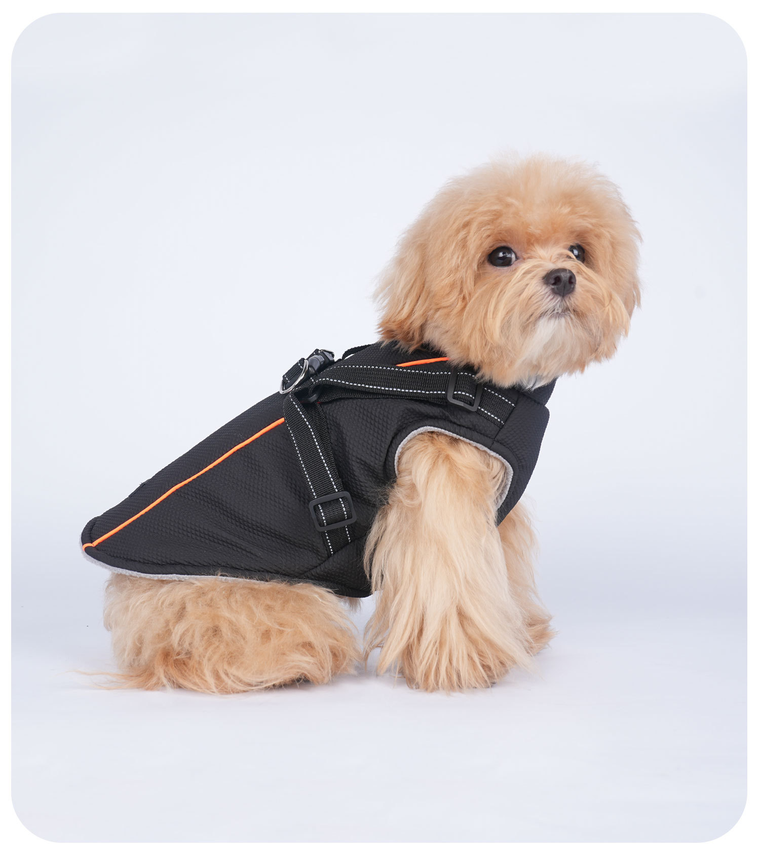 犬 ハーネス ふんわり安心ベーシックハーネス
