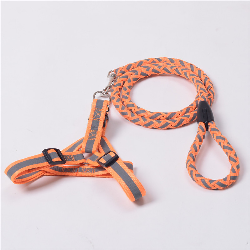 https://fulmo-img-server.com/wonderfulharness/c8a1fed2-ed46-4e65-aa2e-29521a2f3c61.jpg