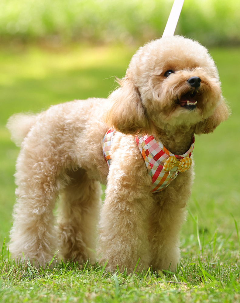 犬 ハーネス 優美な蝶結び ペットハーネス