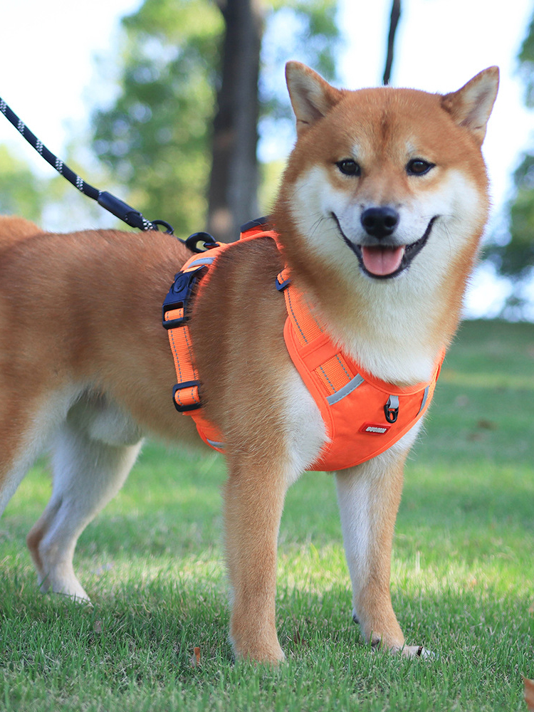 犬 ハーネス 快適支持 胸あて式ハーネス