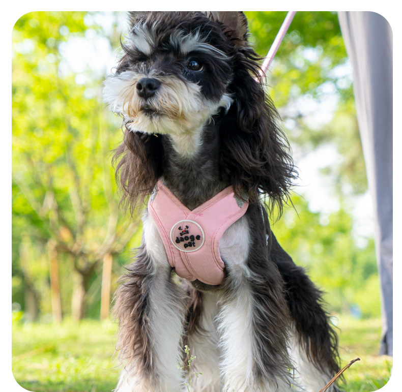 犬 ハーネス やわらか胴輪