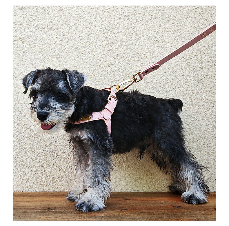 犬 ハーネス 職人の手作り上質ハーネス